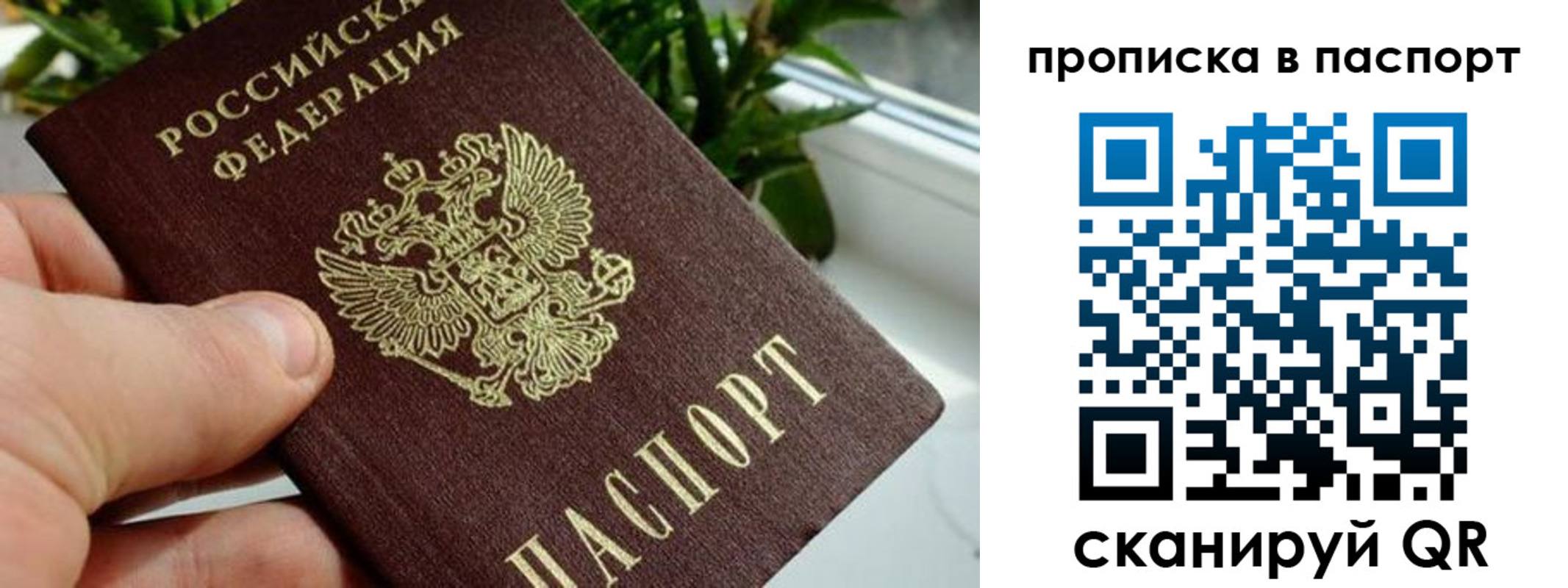 временная регистрация поиск в Одинцово